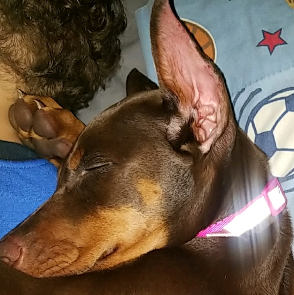 Meet your Posher, Mallory